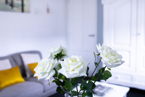 Cosy Guesthouse